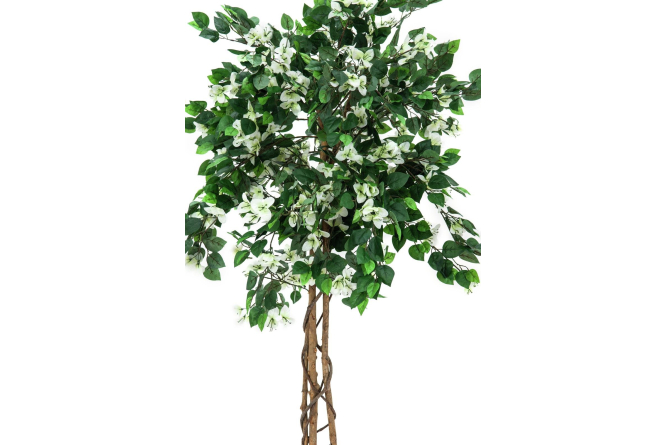 EUROPALMS Bougainvillea, Kunstpflanze, wei&szlig;, 180cm