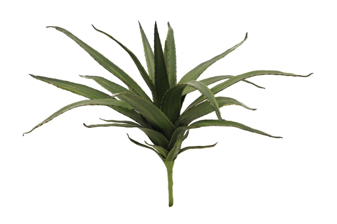 EUROPALMS Aloe (EVA), k&uuml;nstlich, gr&uuml;n, 50cm