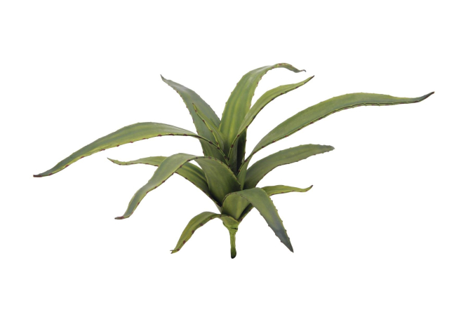 EUROPALMS Aloe (EVA), k&uuml;nstlich, gr&uuml;n, 66cm