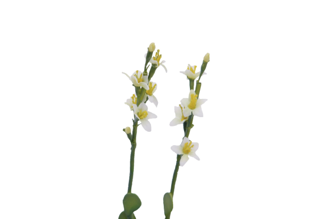 EUROPALMS Steinrose (EVA), Kunstpflanze, gelb, 32cm