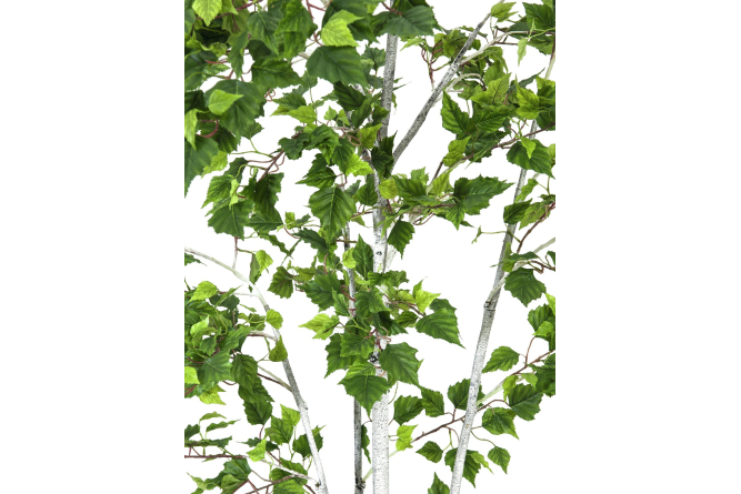 EUROPALMS Birkenbaum, Kunstpflanze, 180cm