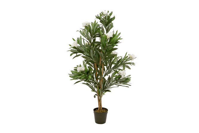 EUROPALMS Oleanderbaum, Kunstpflanze, wei&szlig;, 120 cm