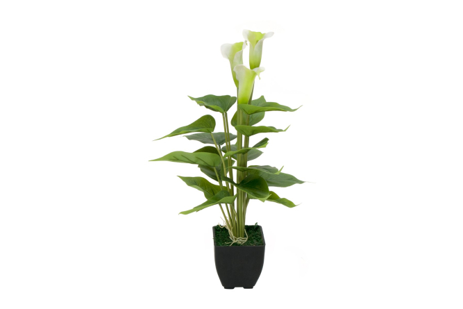 EUROPALMS Calla mini, Kunstpflanze, wei&szlig;, 43cm