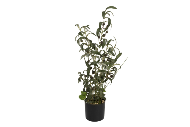 EUROPALMS Olivenb&auml;umchen, Kunstpflanze, 68 cm