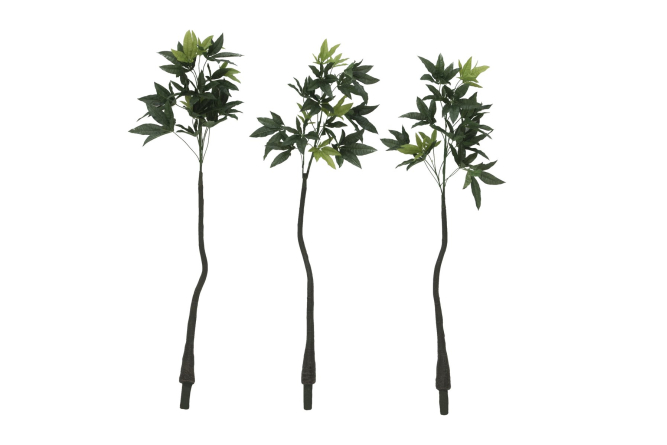 EUROPALMS Pachirabaum, Kunstpflanze, 160cm