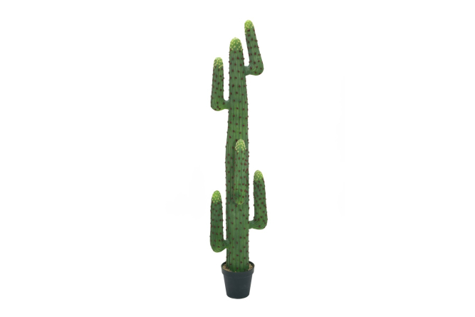 EUROPALMS Mexikanischer Kaktus, Kunstpflanze, grün,...